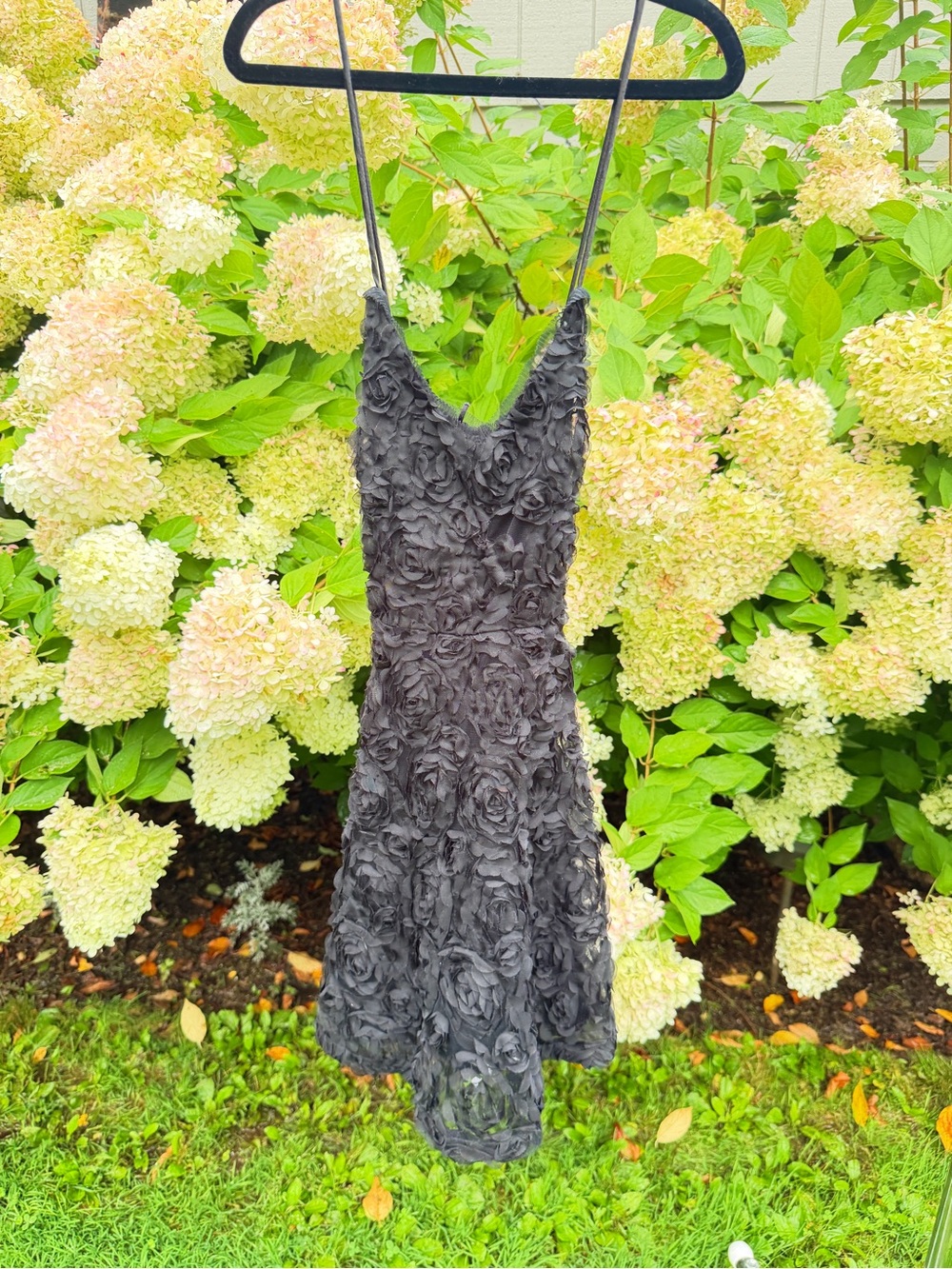 Kimchi Blue Black Strapless Floral Appliqué Dress